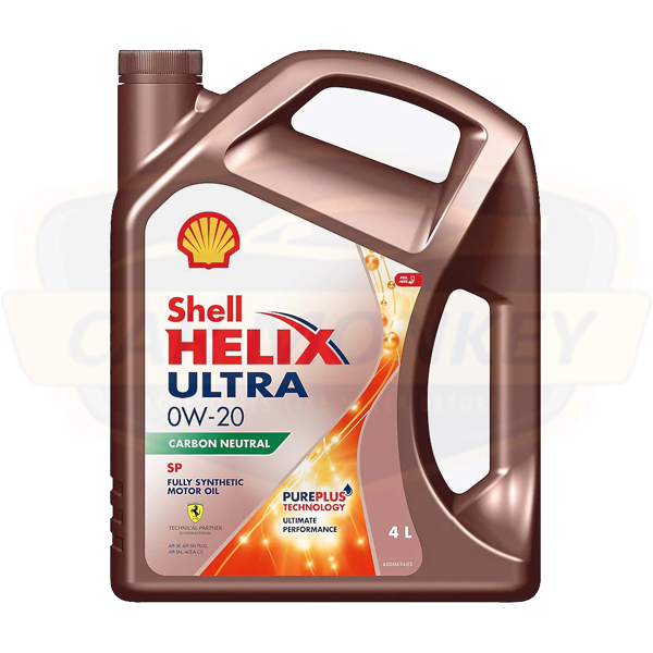 shell1.jpg